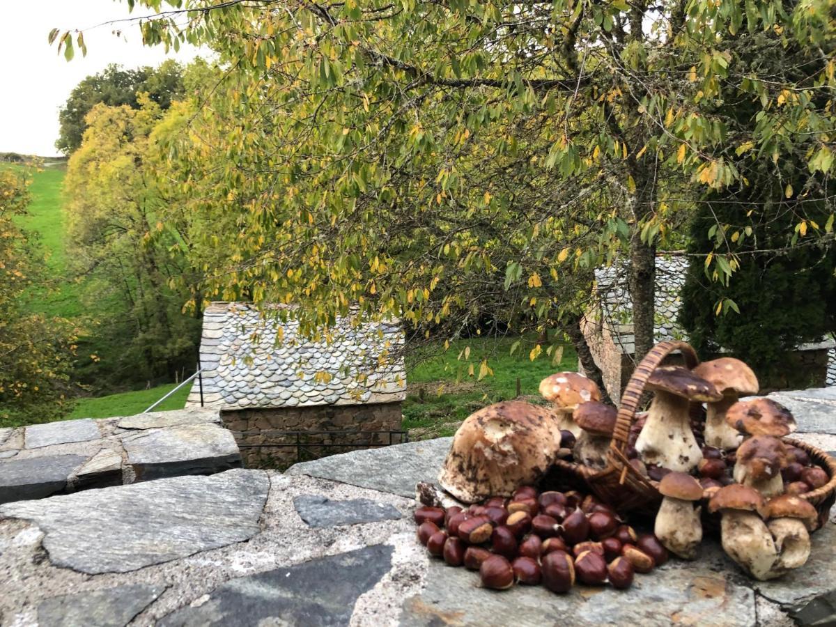 La Maison De Mon Pere Le Nayrac Экстерьер фото